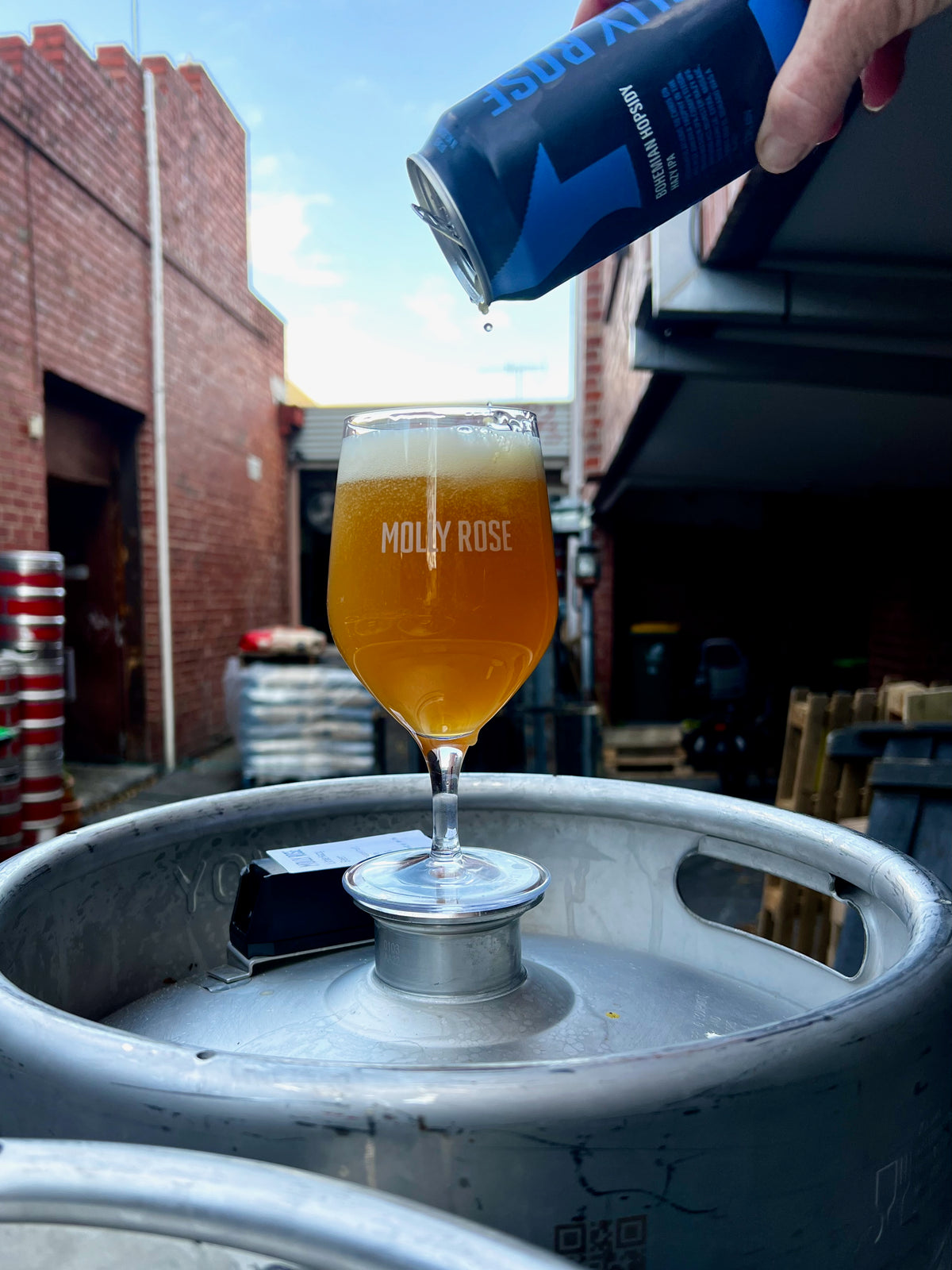Bohemian Hopsidy